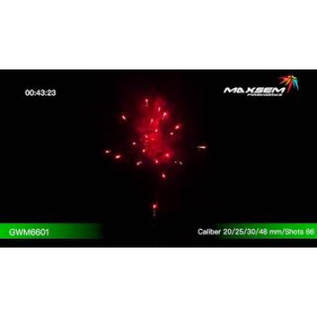 Феєрверк (салют) PROFESSIONAL EFFECTS GWM6601 від Maxsem-1