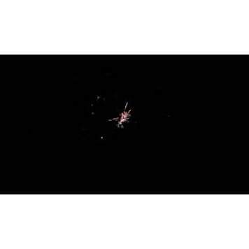 Феєрверк (салют) FIREWORKS NIGHT MC123 від Maxsem-1