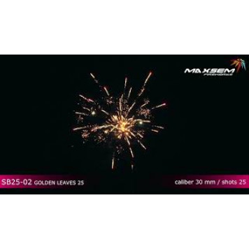 Феєрверк (салют) BIG SURE VIOLET SB25-02 від Maxsem-1